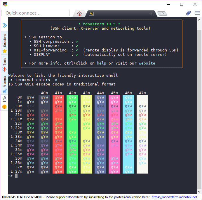 mobaxterm - Theme preview