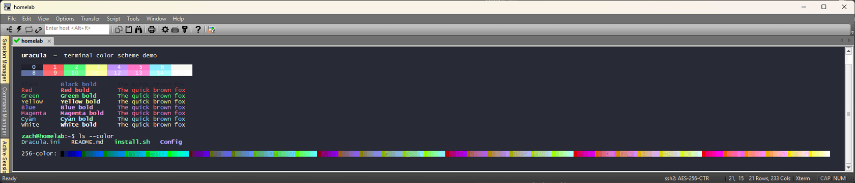 SecureCRT - screenshot 1