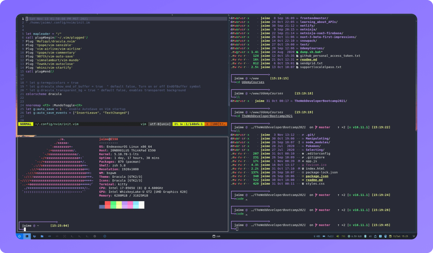 Dracula on EndeavourOS and Neovim