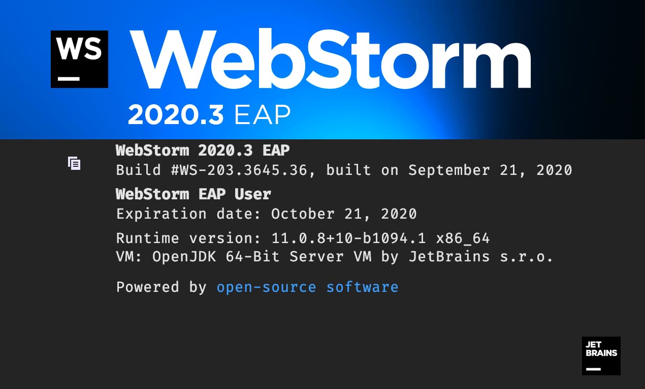 WebStorm 2020.3 EAP