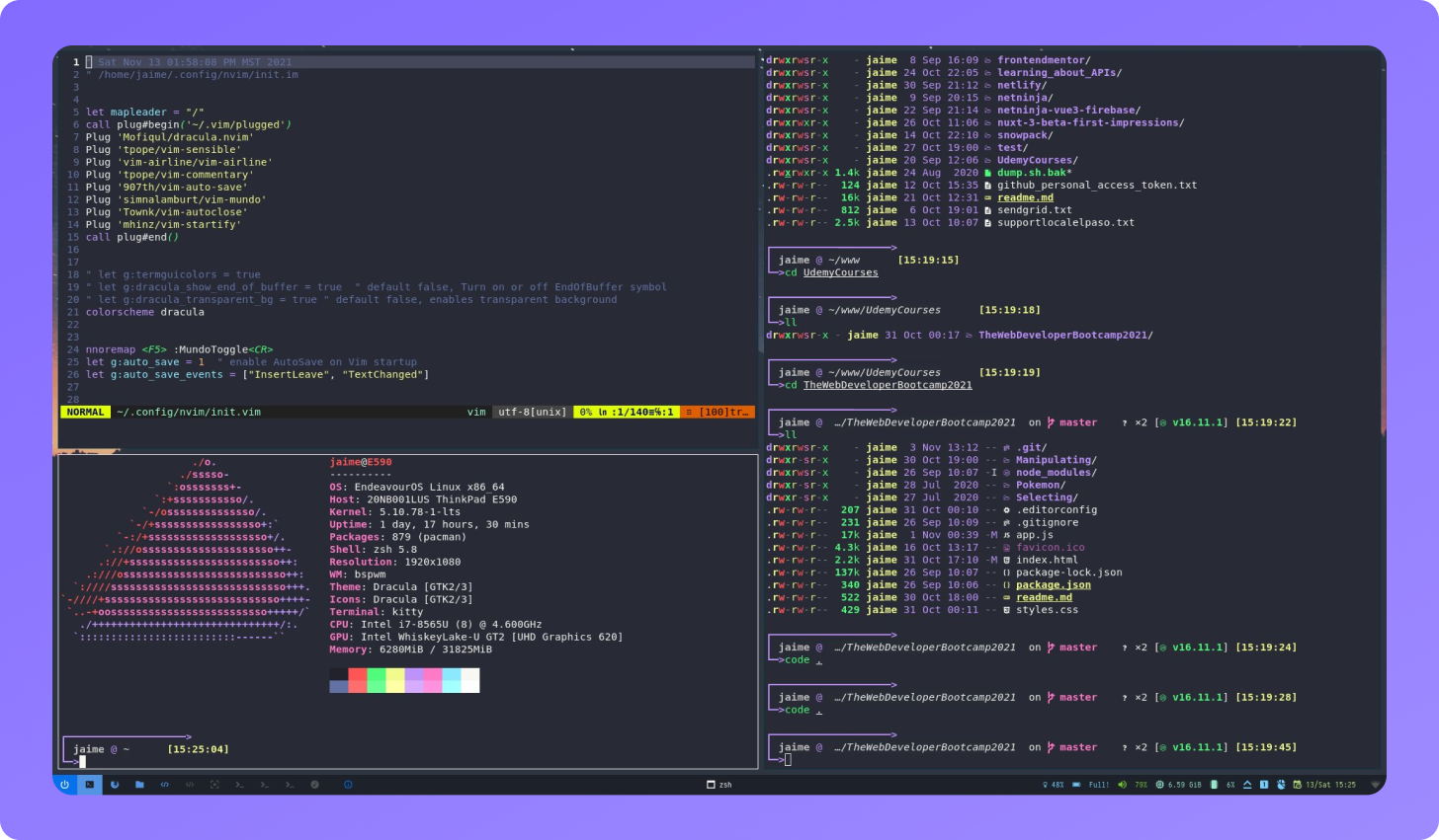 Dracula on EndeavourOS and Neovim